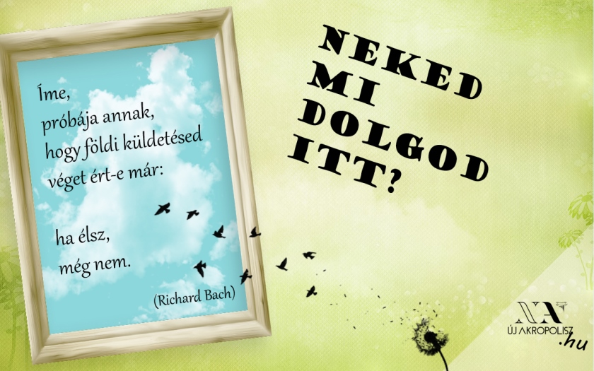 Ha élsz, még nincs kész! Kék égre repülő madarak